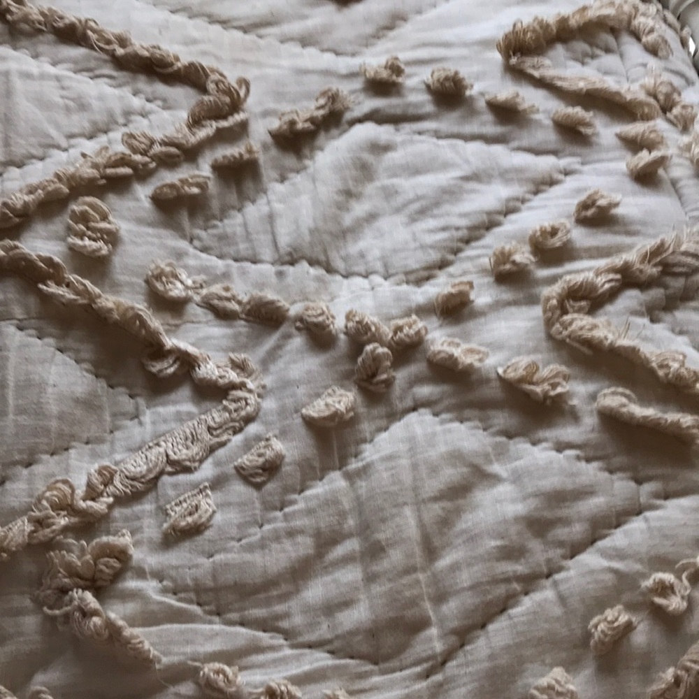 Meet your Posher, Ellie